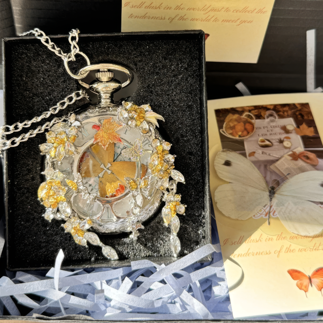 Aurelia — Premium Butterfly Collection